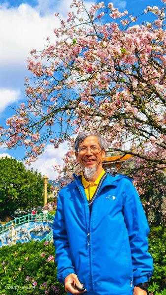 #綠繡眼 訪花 #吉野櫻 #天元宮 #楓樹湖 03162736709