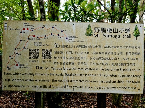 野馬瞰山步道-2025森遊竹縣皮皮獅探險隊2895239