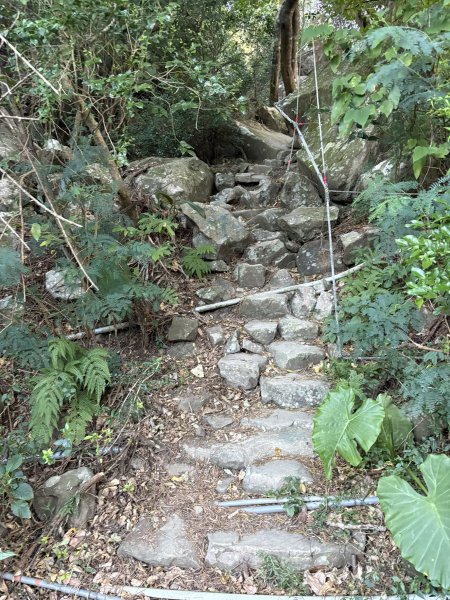 20251213屏東里龍山2961264