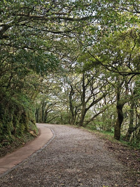 2026-0323 台北大縱走第一段3022614