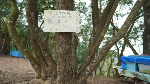 小百岳集起來_笠頂山登山步道2368376