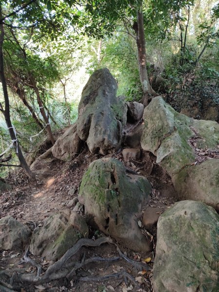 微笑山線：【鳶山山系】鳶山彩壁段2855461