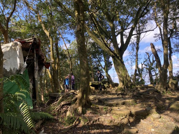 2025微笑山線大縱走尋寶集章任務-Ep.04【天上山系】望月亭桐花段｜石門內尖山東峰 ×石門內尖山2979102