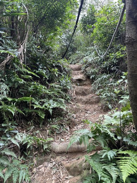 紅淡山步道&槓子寮山 / 小百岳No4&7/基隆2045290