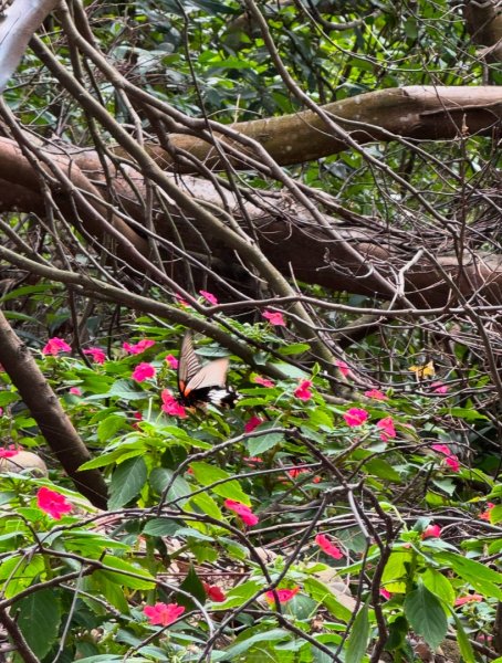 隴頂古道走萬里長城四百坎2672817