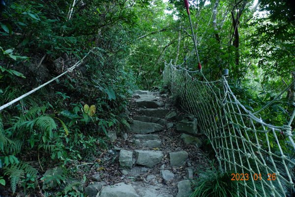 屏東 獅子鄉 里龍山(里隆山、里瀧山、鯉龍山)、下里龍山2018509