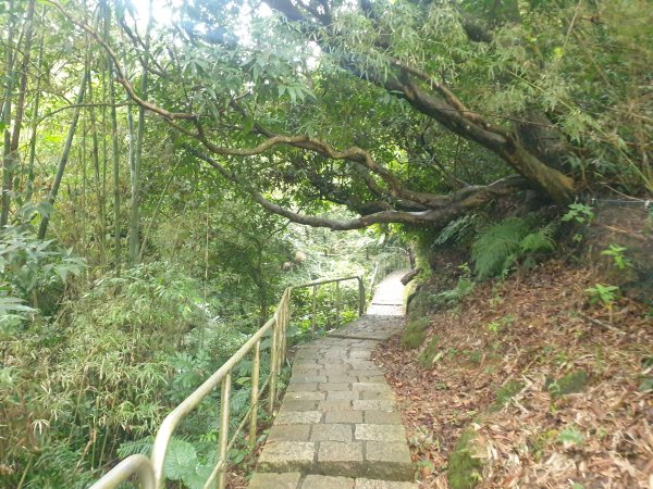 臺北大縱走第六段1516072