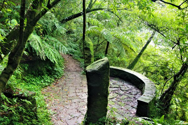 魚路古道連走七星山803474