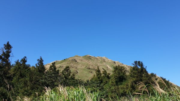 夢幻湖七星山小油坑1067497