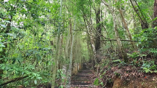 《雲林》望好望角｜石壁山嘉南雲峰步道(中側登山口）202506072805340