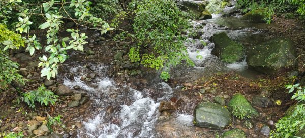 百年嵩山梯田&阡陌步道3051324