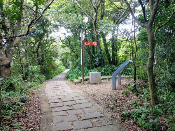 觀音山(小百岳#5)硬漢嶺及楓櫃斗湖步道980412