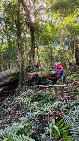 唐穗山11408162860930