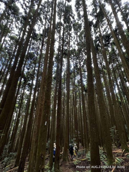 民都有山就是漂亮的夏天冷氣房2582237
