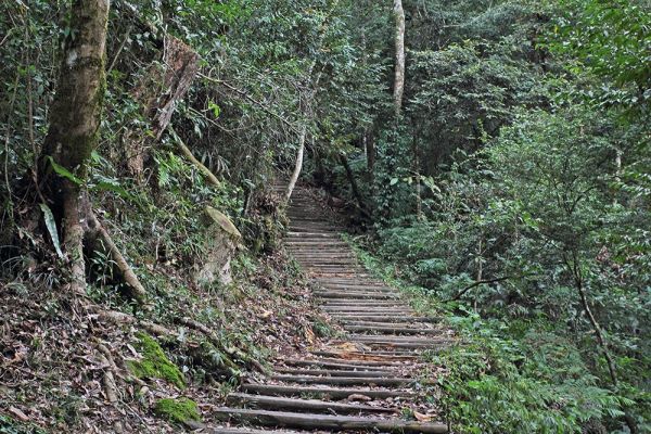 馬那邦山(珠湖線來回)375055