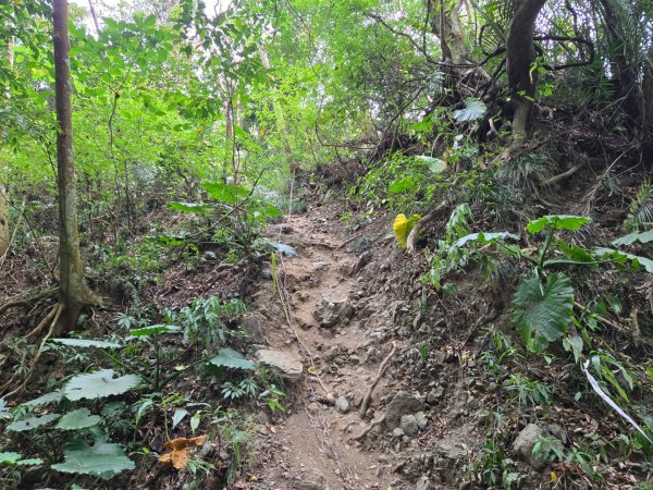 女仍山（小百岳）2752511