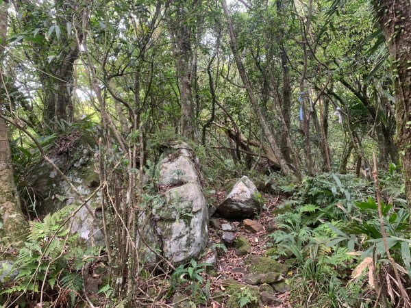 叢雲山、窖寮山、橋板湖山、梗枋山（龜山車站O型）2757829