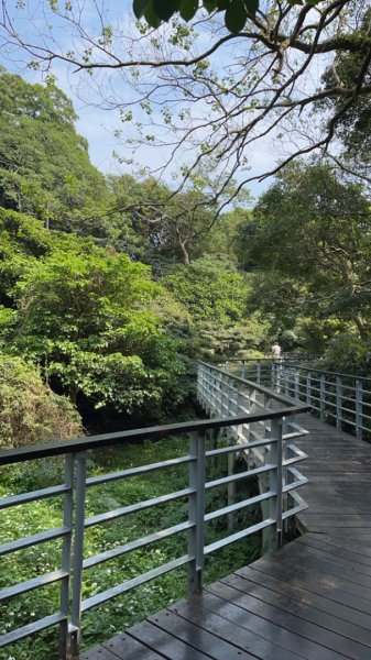 觀音山硬漢嶺2081854