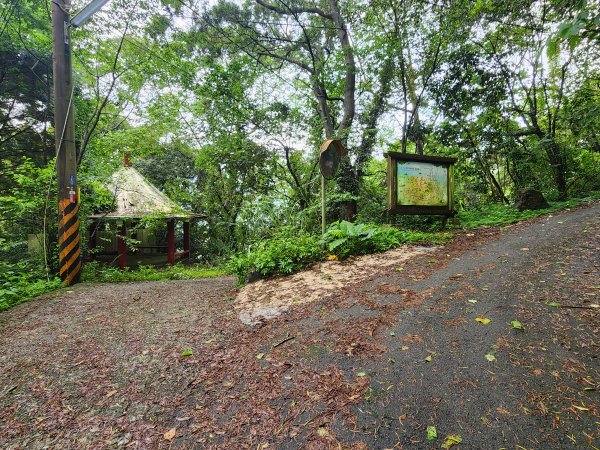 20250427大山背山田寮山毬子山騎龍山2933641