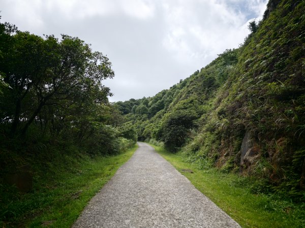 [淡蘭古道] 2026_0531 北路第一段_燦光寮古道(上)-草山戰備道3070671