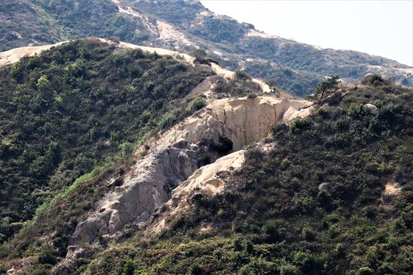 HK - 青山復地1482570