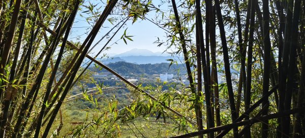 2026/01/04_龍峎頂+肚兜角步道2978143