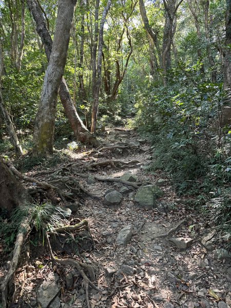 恆春半島最高峰里龍山1943466