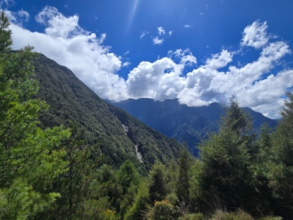 塔塔加步道（大鐵杉登山步道）2883108