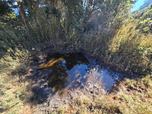 卓社大山〔武界栗栖溪登山口起登〕2748487