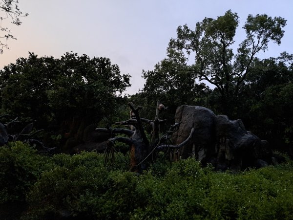2026動物園祖父母節活動（夜間限定版）3111341