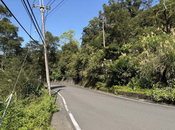 [淡蘭古道] 2026_0315 南路第三段_四分子古道3016914