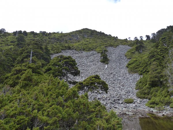 雪山主峰下翠池2019/0723640339