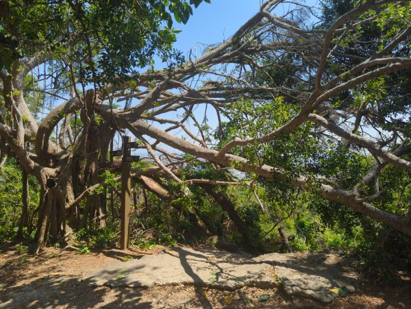 2025.03.25－壽山健走2746382