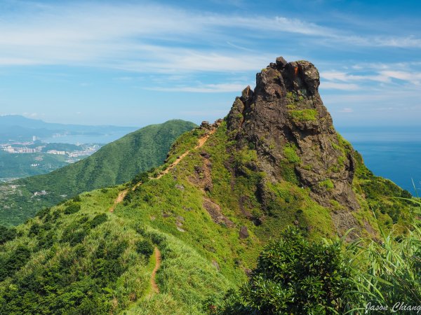 [新北]茶壺山-黃金洞-俯瞰稜連走1012104