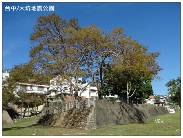 軍功寮山、大坑9、7、6、9-1步道 O型一圈2950756