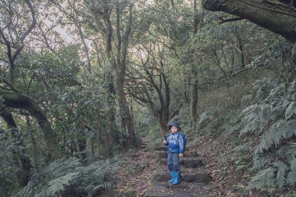 雨鞋登山初體驗-大屯山南峰、大屯山西峰連走1647918