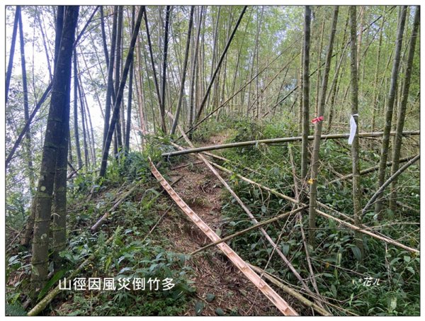 樟空倫山、大崙頭山、貓冬望山、民眾坪山 連走2839049