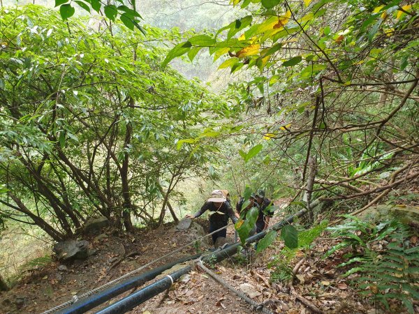 麗陽上屋我尾山2683108