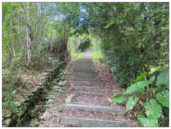 澀水森林步道、水上瀑布2846770