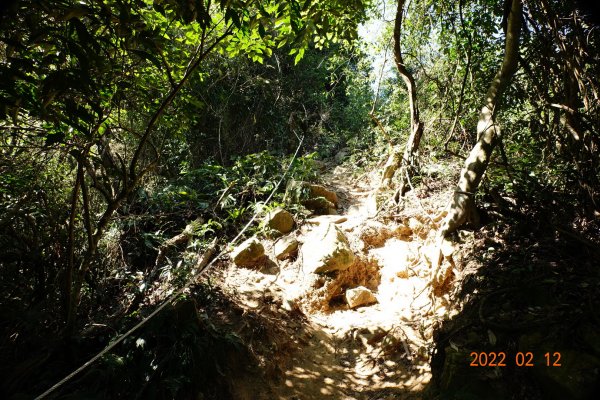 臺中 太平 暗影山1608974
