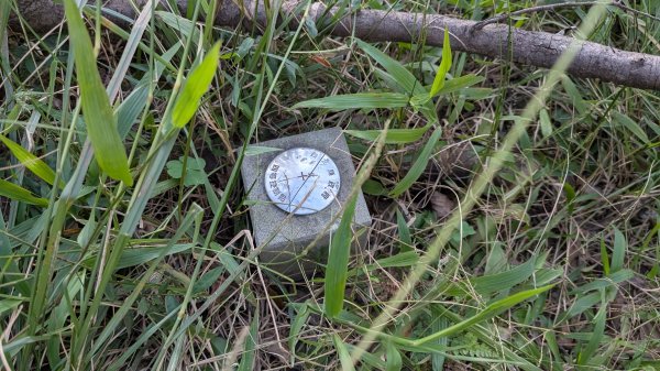 114.11.23龍泉山寺-成福山-十八羅漢岩-石門內尖山-石門內尖山東峰之旅2943738