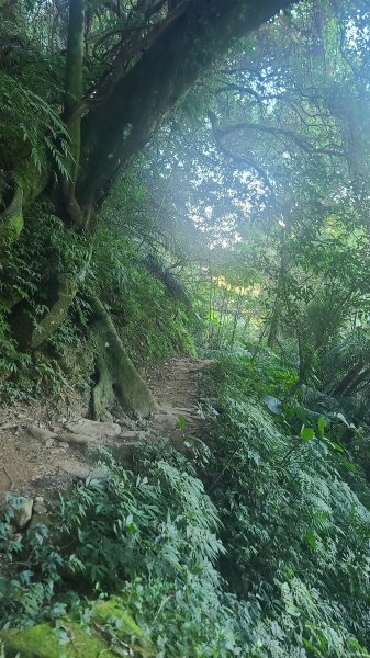 2026-0114溪州山小百岳2984866