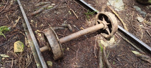 2025/04/04_加里山登山步道2755052