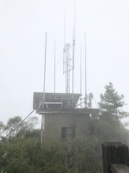 天神的屬地阿里山塔山傳奇（大塔山）