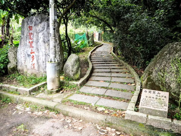 【台北 內湖區】白鷺鷥山親山步道x大湖公園後山悠閒小步道