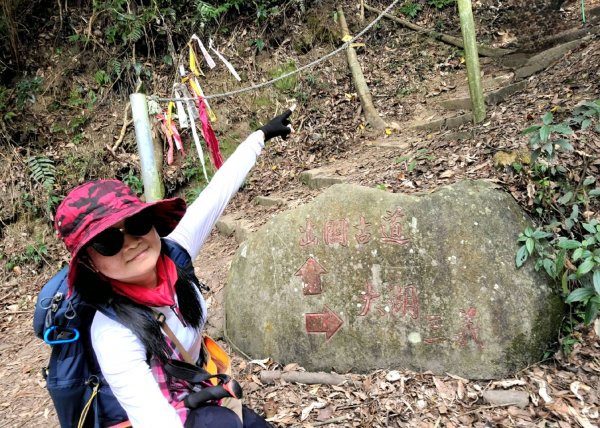 小百岳關刀山889m+銅鑼杭菊1924032