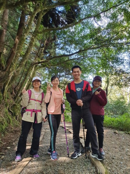 【阿里山】特富野古道1093704