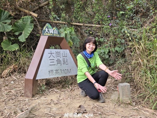 【高雄田寮】小百岳大崗山x大崗山磐龍峽谷步道3013138