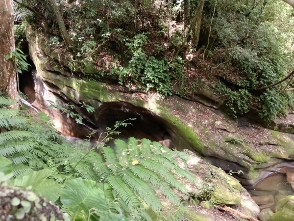 基隆市暖東峽谷大環步道+大菁農場+暖東峽谷小環步道(大O+小O)2832660