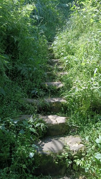 20251004 馬那邦山 - 珠湖 登山口2904882